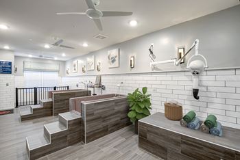 Dog grooming salon with wash bays and dryers at Central Island Square, South Carolina, 29492